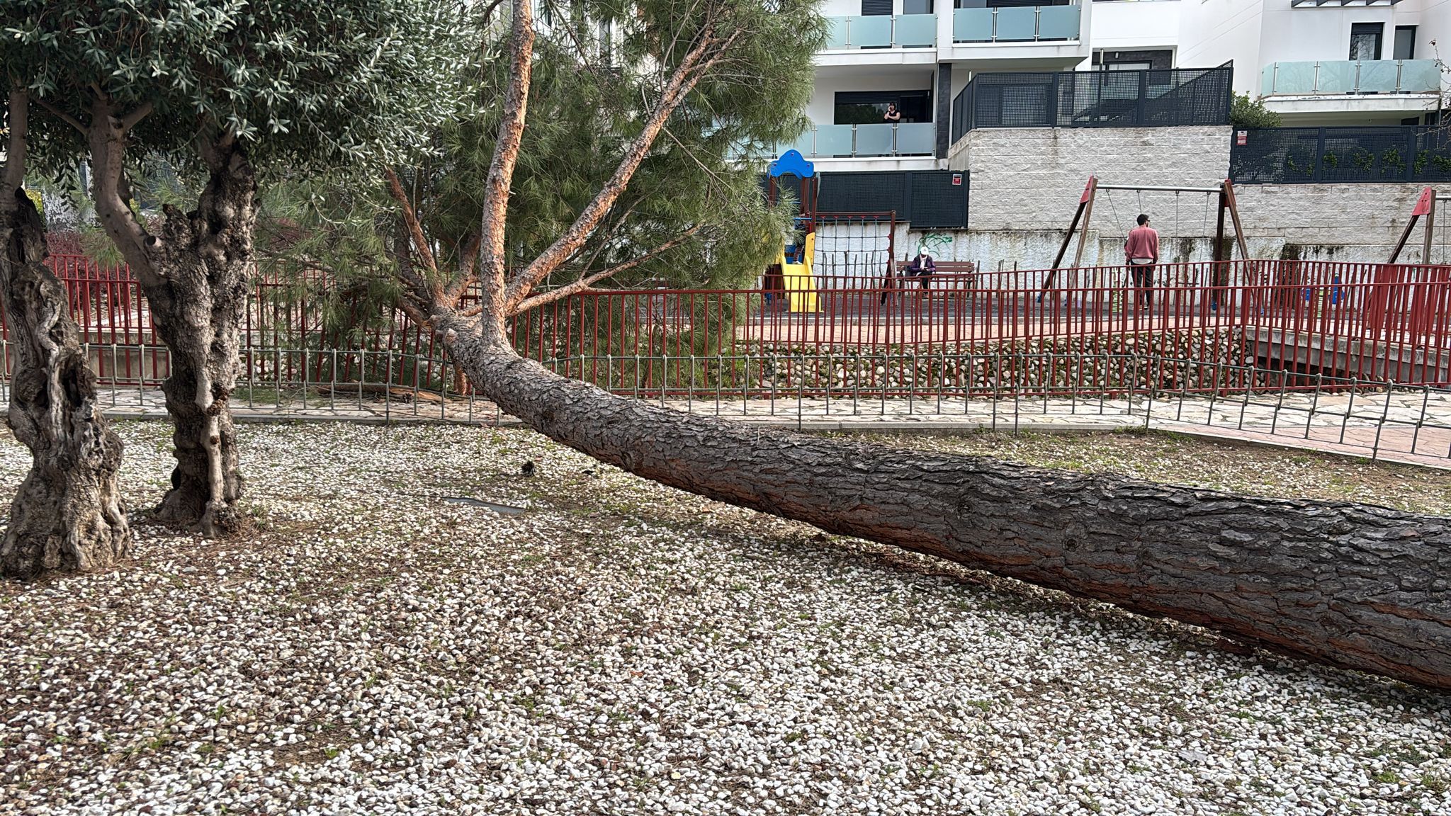 Cierre temporal del Parque del Matadero