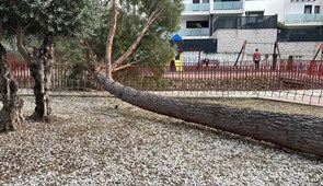 Cierre temporal del Parque del Matadero