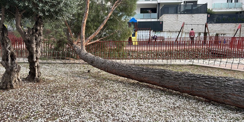 Cierre temporal del Parque del Matadero