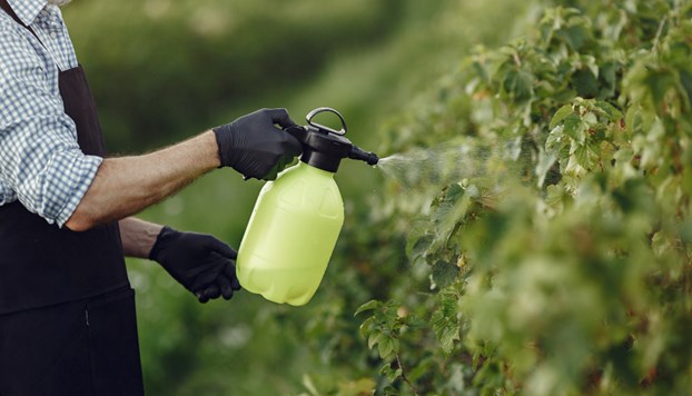 Tratamientos de control de vegetación en espacios públicos - 22 de julio