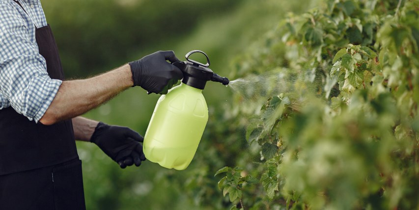 Tratamientos de control de vegetación en espacios públicos - 22 de julio