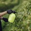 Tratamientos de control de vegetación en espacios públicos - 22 de julio